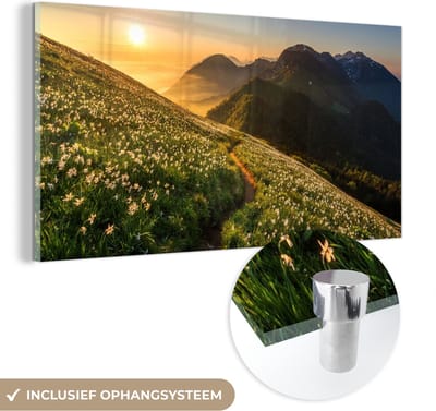 MuchoWow® Glasschilderij 40x20 cm - Schilderij acrylglas - Bloemen - Zon - Bergen - Foto op glas - Schilderijen