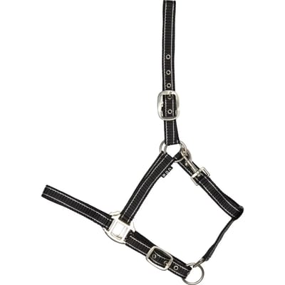 Halsband voor paard HorseGuard Rio