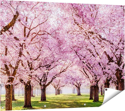 Gards Tuinposter Roze Bloesembomen Park - Bloemen - 120x90 cm - Tuindoek - Tuindecoratie - Wanddecoratie buiten - Tuinschilderij