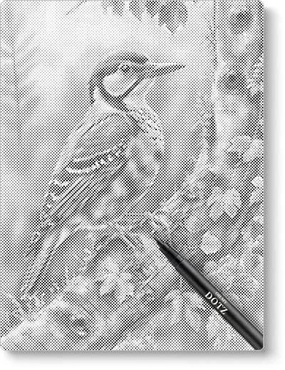 Specht | Dot painting | 40x50cm | Dot painting | Oh My Dotz | Dots stippen | Diamond painting & Schilderen op nummer alternatief | Happy hobby