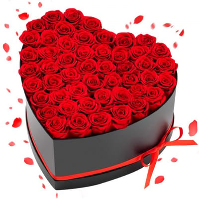 VEVOR Eeuwige Rozen in Hartvormige Doos, 50 stuks, Geconserveerd Boeket, Bloemengeschenkdoos voor Uw Vrouw, Moeders, Geliefden, voor Bruiloften, Moederdag, Valentijnsdag, Kerstmis, Rood