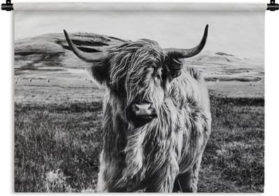 Wandkleed - Wanddoek - Zwart - Wit - Schotse Hooglander - Gras - 60x45 cm - Wandtapijt