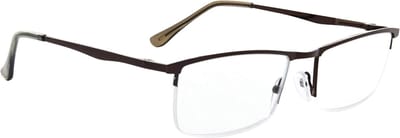 Leesbril - Kijkbril - Comfortabel Lezen - Met Veer Scharnieren - 53 mm Lensbreedte - Bruin