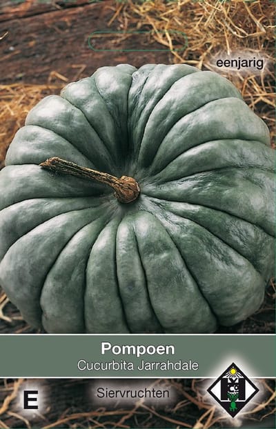Van Hemert & Co Cucurbita Maxima Jarrahdale Pompoen - 2 Plantjes
