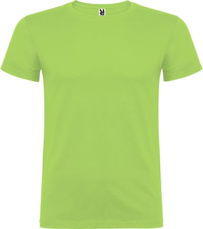 Oasis Groen 5 pack t-shirts Roly Beagle maat S