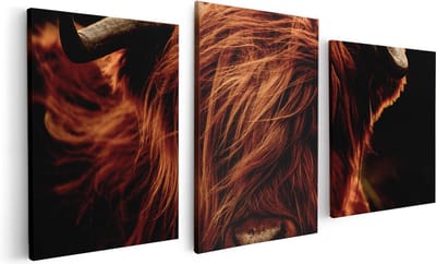 Artaza Canvas Schilderij Drieluik Schotse Hooglander Koeienkop - Kleur - 120x60 - Foto Op Canvas - Canvas Print