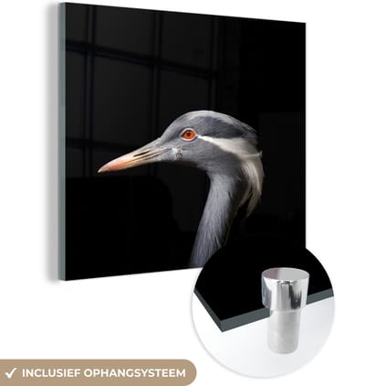 MuchoWow® Glasschilderij 50x50 cm - Schilderij acrylglas - Vogel - Dieren - Portret - Foto op glas - Schilderijen