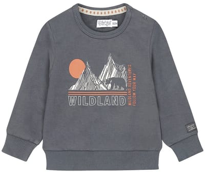 Trui Navy - 03 Boys wildland