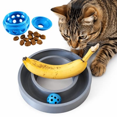 Interactief Katten Speelgoed met Bal – Katten Speelbaan met Snack Dispenser – Intelligentie Speelgoed – Grijs/Blauw