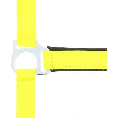 Halster voor paarden Norton Fluo