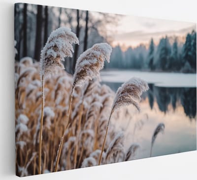 Saammp Canvas Schilderij - Natuur - Bevroren riet - landschap - 30x20 - Foto op canvas - Wanddecoratie - Muurdecoratie Woonkamer - Slaapkamer decoratie - Canvas Print