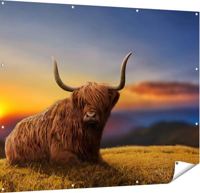 Gards Tuinposter Schotse Hooglander Koe op een Heuvel - 150x120 cm - Tuindoek - Tuindecoratie - Wanddecoratie buiten - Tuinschilderij
