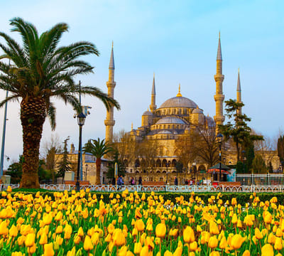 De Blauwe Moskee van Sultan Ahmed in Istanbul - Fotobehang (in banen) - 250 x 260 cm