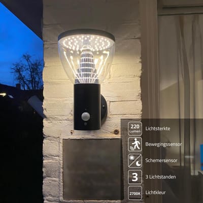 Solar wandlamp buiten 'Spiez' - RVS - Met bewegingssensor - IP44 - Warm wit licht (2700K) - 600 lumen - Tuinverlichting op zonne-energie