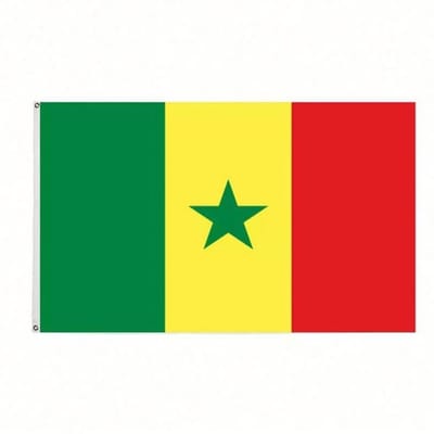 Go Go Gadget - Senegalese Vlag - 90x150cm - Senegal