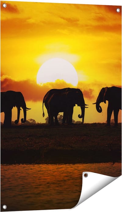 Gards Tuinposter Silhouet Olifanten tijdens Zonsondergang - 60x90 cm - Tuindoek - Tuindecoratie - Wanddecoratie buiten - Tuinschilderij