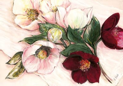 Kunstdruk Elisabeth Krobs - Elegant Anemones 100x70cm