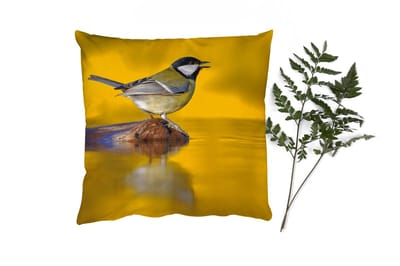 Sierkussens - Kussentjes Woonkamer - 45x45 cm - Koolmees - Vogel - Water