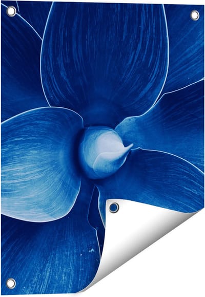 Gards Tuinposter Blauwe Agave Plant - Bloem - 40x50 cm - Tuindoek - Tuindecoratie - Wanddecoratie buiten - Tuinschilderij