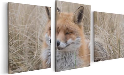 Artaza Canvas Schilderij Drieluik Vos in de Duinen  - 120x60 - Foto Op Canvas - Canvas Print