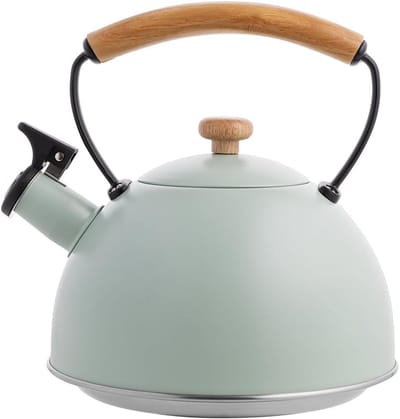 Waterkoker - Fluitketels Voor op Gas - Heetwaterdispenser - Camping - Outdoor