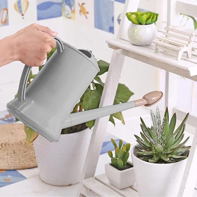Lichte 2 Litre Gieter met Lange Tuit en Afneembare Spuitkop voor Binnen en Buiten, Ideaal voor Tuin, Bloemen en Bonsai Planten
