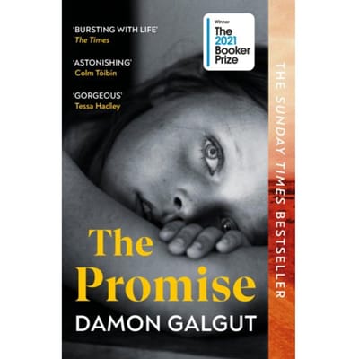 The Promise - Damon Galgut