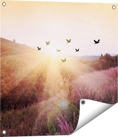 Gards Tuinposter Silhouet Zwerm Vogels bij Zonsondergang - 60x60 cm - Tuindoek - Tuindecoratie - Wanddecoratie buiten - Tuinschilderij