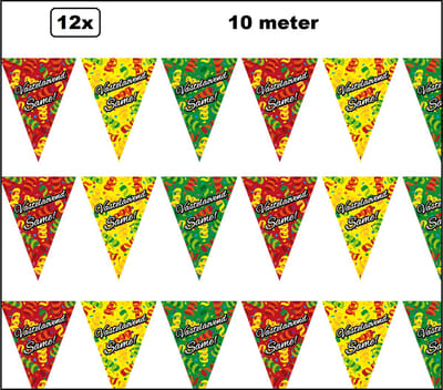 12x Luxe Vlaglijn Vastelaovend dubbelzijdig bedrukt 10 meter - Vastelaovend Same - Carnaval vlaggenlijn optocht thema feest