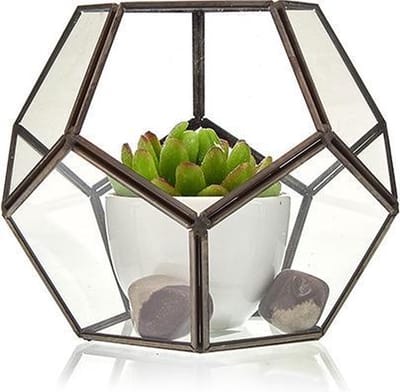 Glazen terrarium - grote achthoek