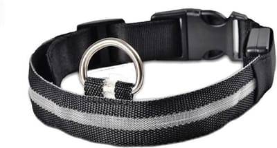 Halsband hond met LED licht - USB oplaadbaar - Hondenlamp  - Leiband -  Lichtgevend - Honden halsband - Katoen / metaal - Veiligheid - Maat XS - Zwart / grijs / wit - 28 tot 40 cm - Inclusief laadkabel