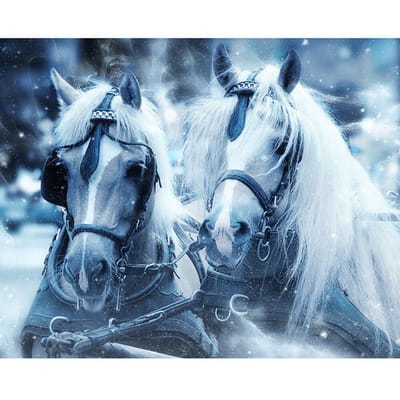5D DIY volledige ronde diamant dier sneeuw paard diamant kruissteek 20X30CM gray