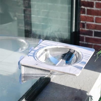 Étagère Murale en Verre pour Chat Escalade Forte Charge Portante Anti-Dérapant Sans Odeur Ventouse Fenêtre Chat