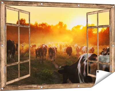 Gards Tuinposter Doorkijk Kudde Koeien in Weiland bij Zonsondergang - 120x80 cm - Tuindoek - Tuindecoratie - Wanddecoratie buiten - Tuinschilderij