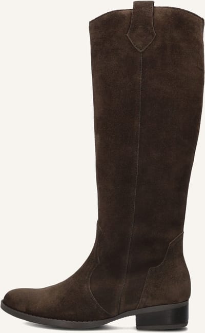 Gabor 901 Laarzen - Leer - Dames - Bruin - Maat 37,5