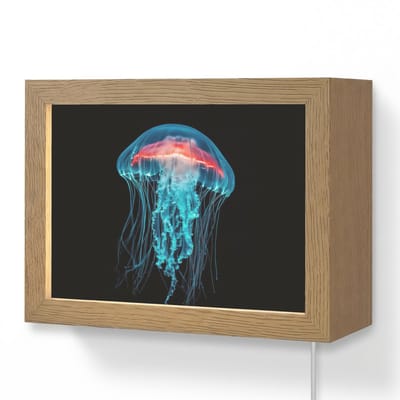 Wandlamp 20x15 cm - Oplaadbaar - Kwal - Tentakels - Blauw - Licht - Wandlampen binnen woonkamer - Slaapkamer lamp met kabel - Decoratieve nachtlamp - Vloerlamp snoer