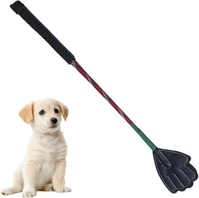 Hondentrainingsstok - Flirtstok Honden - Interactief Spel - Flexibel Elastisch Ontwerp - Verstelbare Lengte - Willekeurige Kleur