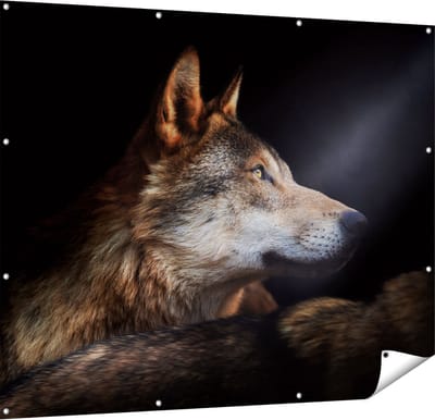 Gards Tuinposter Wolvenkop met een Zonnestraal - Wolf - 150x120 cm - Tuindoek - Tuindecoratie - Wanddecoratie buiten - Tuinschilderij