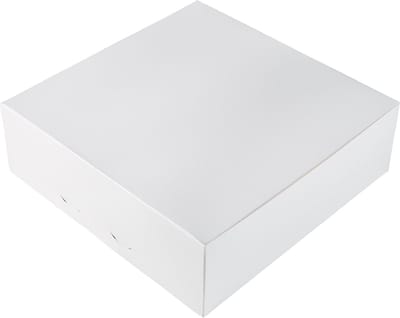 BrandNewCake® Taartdoos - 25x25x8 cm - Taartdoos Karton - Cakedoos - 3 Stuks - Wit