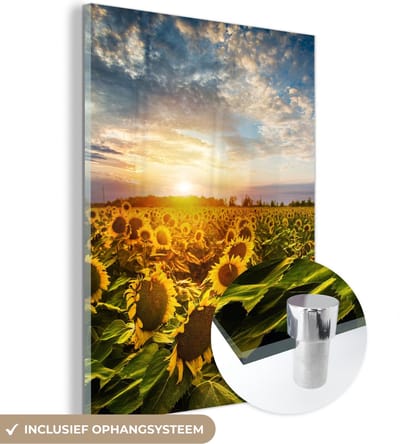 MuchoWow® Glasschilderij 30x40 cm - Schilderij acrylglas - Bloemen - Zonnebloem - Lucht - Foto op glas - Schilderijen