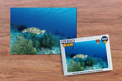 Puzzel Groene zeeschildpad op Bonaire - Legpuzzel - Puzzel 500 stukjes