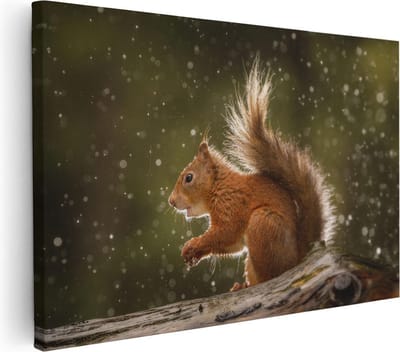 Artaza Canvas Schilderij Rode Eekhoorn - 30x20 cm - Klein - Wanddecoratie Boom - Muurdecoratie Dieren - Kamer Accessoires