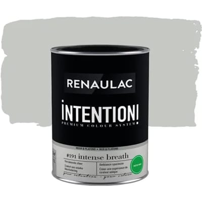 Renaulac Intention Muurverf - Extra Mat - Intense Breath - 1l