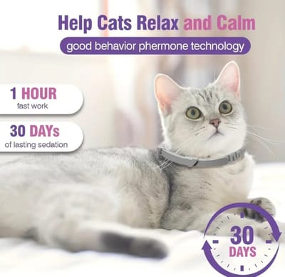 1 stuk Anti-stress verstelbare halsband voor katten op basis van feromonen kalmerende halsband zonder chemische stoffen