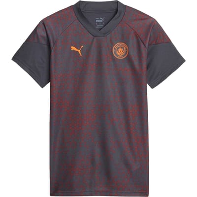Puma Unisex trainingsshirt voor volwassenen van Manchester City FC (Grijs)