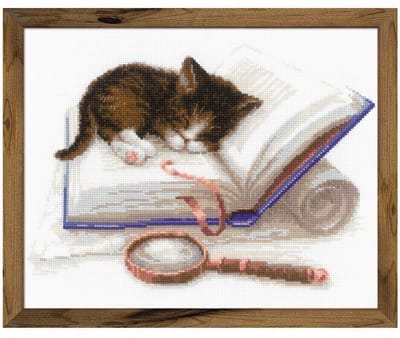 Borduurpakket Kitten Op Het Boek - Riolis