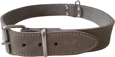 Jack And Vanilla - Halsbanden - Vetleder Halsband - Grijs - 30mmx70cm 45/7408 - 175517