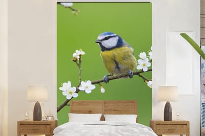 Behang - Fotobehang Pimpelmees - Tak - Bloemen - Bloesem takken - Vogel - Breedte 200 cm x hoogte 300 cm