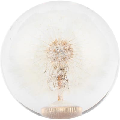 2.8in Pookknop Kristal Echte Paardenbloemen Bloemen Universeel Accessoire met 3 Draadadapters white