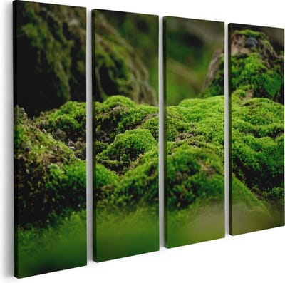 Artaza Canvas Schilderij Vierluik Groen Mos - 80x60 - Foto Op Canvas - Canvas Print
